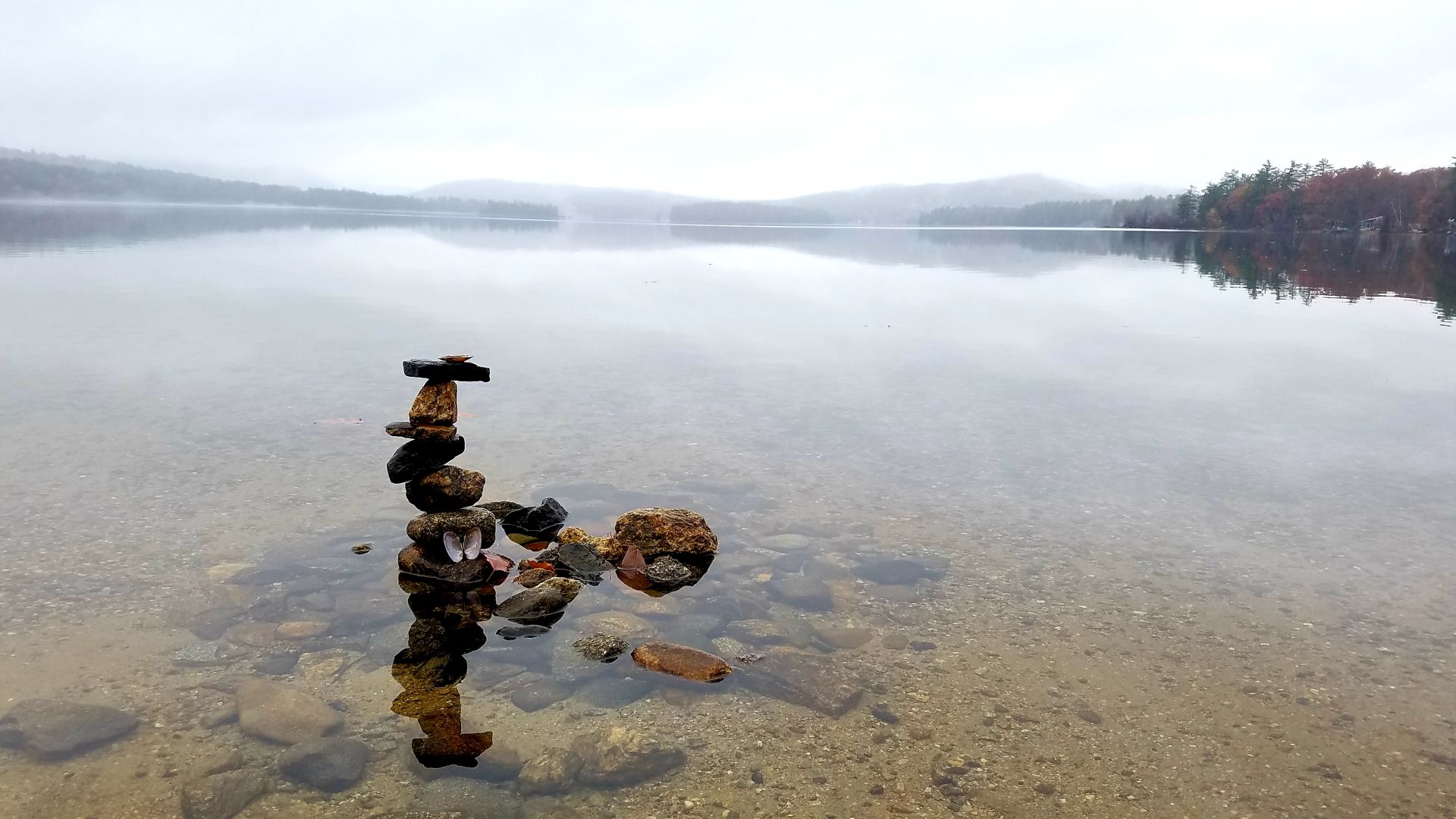 Reader Pics: Nov. 2